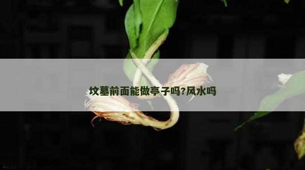 墳墓前面能做亭子嗎?風水嗎