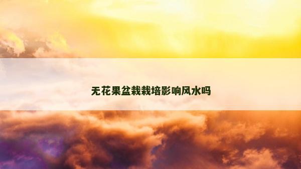 無花果盆栽栽培影響風水嗎