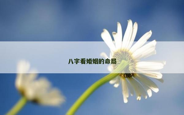 八字看婚姻的命局
