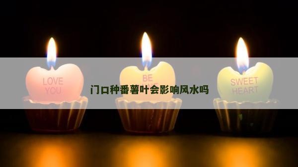 門口種番薯葉會影響風(fēng)水嗎