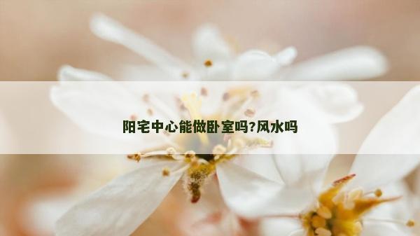 陽(yáng)宅中心能做臥室嗎?風(fēng)水嗎 陽(yáng)宅中心能做臥室嗎?風(fēng)水嗎