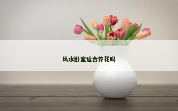 風水臥室適合養花嗎