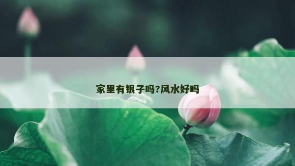 家里有銀子嗎?風(fēng)水好嗎
