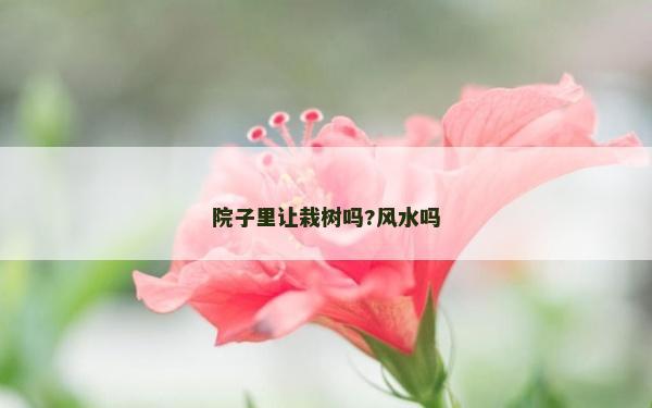 院子里讓栽樹嗎?風(fēng)水嗎