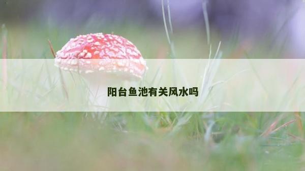 陽臺魚池有關風水嗎
