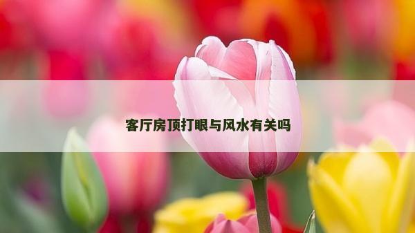 客廳房頂打眼與風水有關嗎