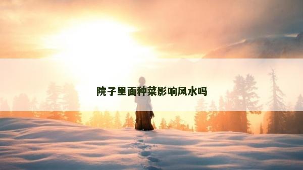 院子里面種菜影響風水嗎