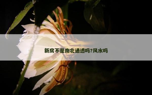 新房不是南北通透嗎?風(fēng)水嗎