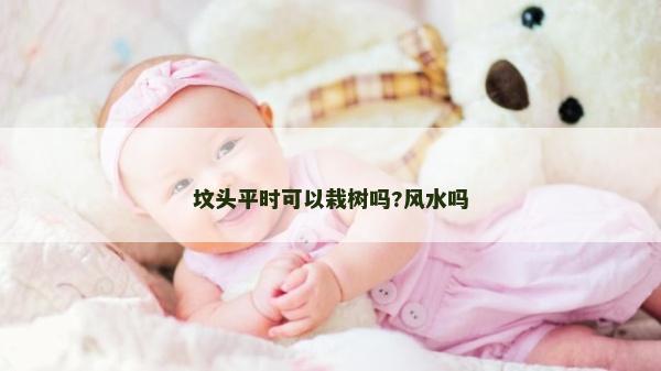 墳頭平時可以栽樹嗎?風水嗎