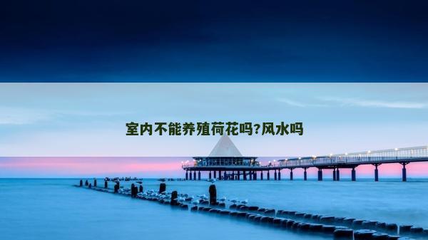 室內不能養殖荷花嗎?風水嗎