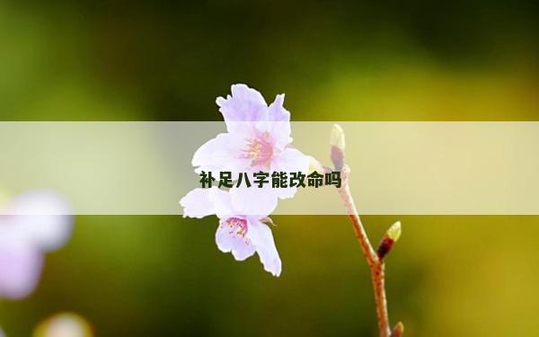 補(bǔ)足八字能改命嗎