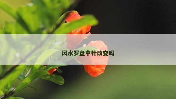 風水羅盤中針改變嗎