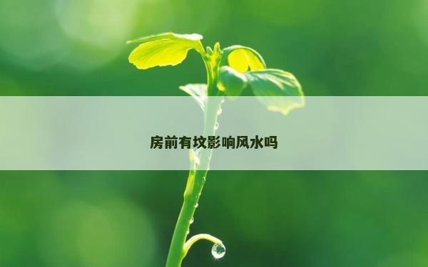 房前有墳影響風(fēng)水嗎