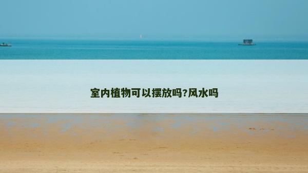 室內植物可以擺放嗎?風水嗎