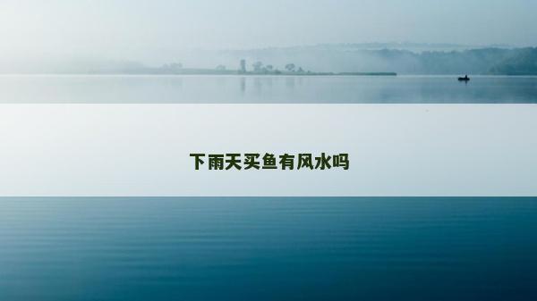 下雨天買魚有風水嗎