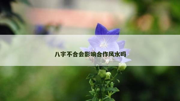 八字不合會影響合作風水嗎
