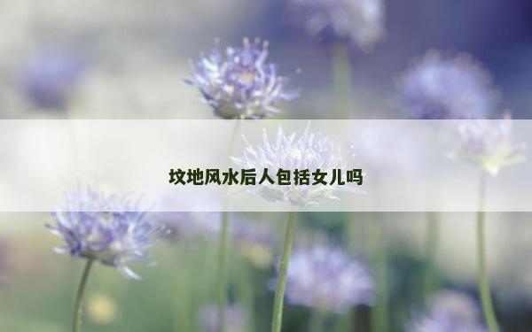 墳地風水后人包括女兒嗎