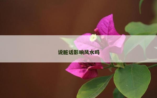 說臟話影響風水嗎