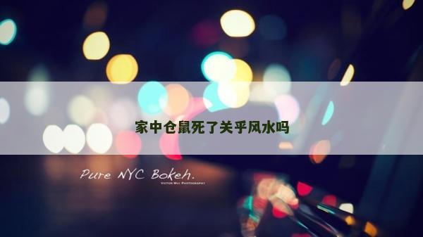 家中倉鼠死了關乎風水嗎