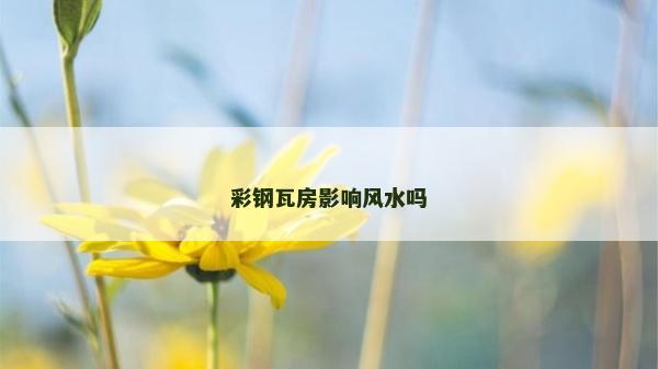 彩鋼瓦房影響風水嗎
