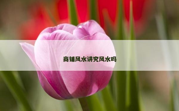 商鋪風水講究風水嗎
