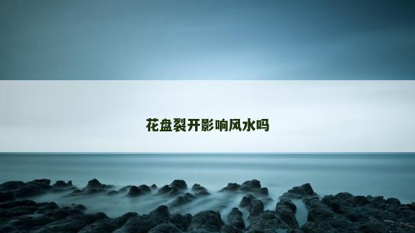 花盤裂開影響風水嗎 花盤裂開影響風水嗎