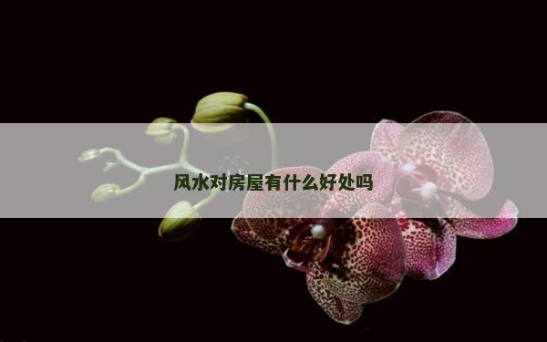 風水對房屋有什么好處嗎