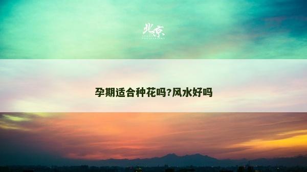 孕期適合種花嗎?風水好嗎