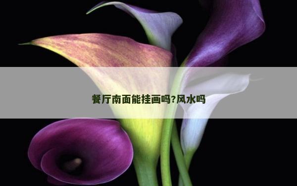 餐廳南面能掛畫嗎?風水嗎