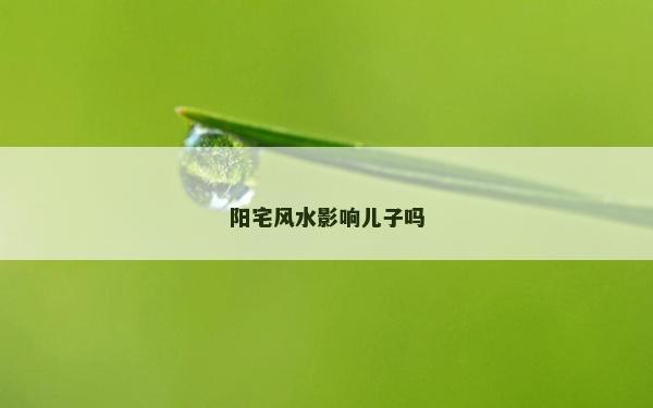 陽宅風水影響兒子嗎 陽宅風水影響兒子嗎
