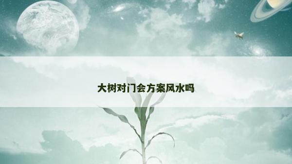 大樹對門會方案風水嗎