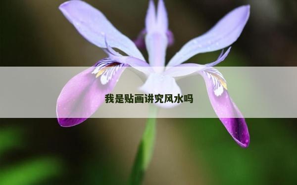 我是貼畫講究風水嗎