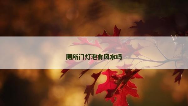 廁所門燈泡有風水嗎 廁所門燈泡有風水嗎