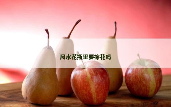 風(fēng)水花瓶里要擦花嗎