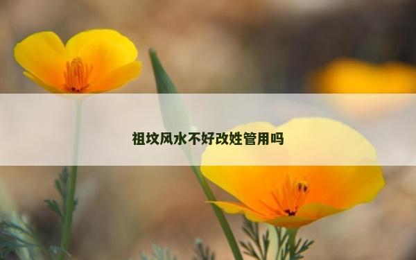 祖墳風水不好改姓管用嗎