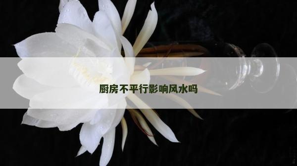 廚房不平行影響風(fēng)水嗎