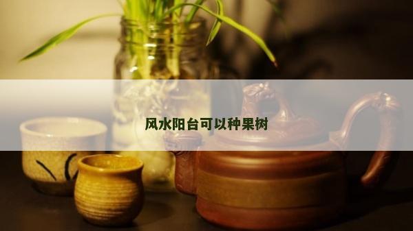 風水陽臺可以種果樹