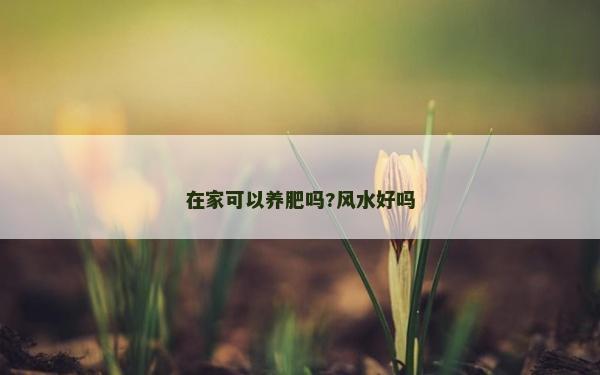 在家可以養(yǎng)肥嗎?風(fēng)水好嗎