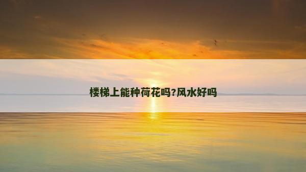 樓梯上能種荷花嗎?風水好嗎