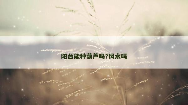 陽臺能種葫蘆嗎?風水嗎 陽臺能種葫蘆嗎?風水嗎