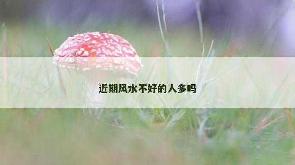 近期風水不好的人多嗎