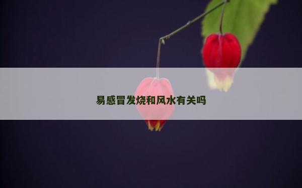 易感冒發燒和風水有關嗎