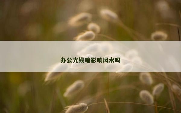 辦公光線暗影響風水嗎