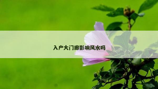 入戶大門廊影響風水嗎 入戶大門廊影響風水嗎