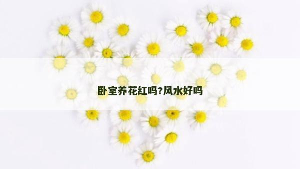 臥室養花紅嗎?風水好嗎