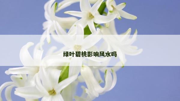綠葉碧桃影響風(fēng)水嗎