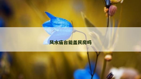 風水廟臺能蓋民房嗎