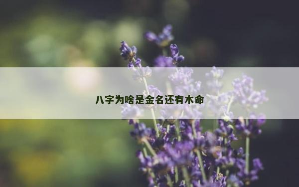 八字為啥是金名還有木命