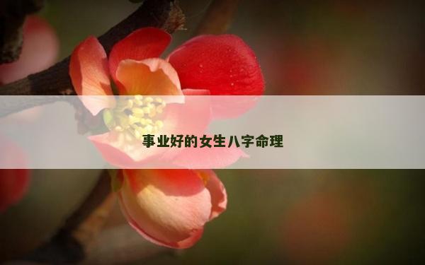 事業(yè)好的女生八字命理