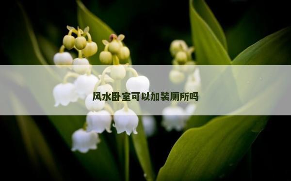 風水臥室可以加裝廁所嗎